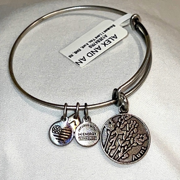 Alex and Ani Silver Tone Aunt Charm Expandable Bracelet - Picture 1 of 6